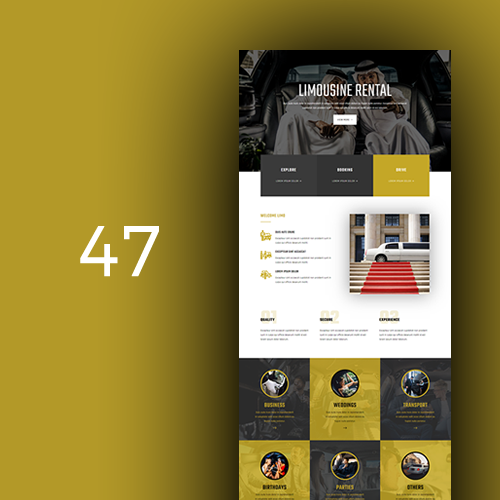 0047 – Alquiler de limusinas